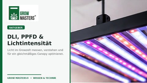 Growzelt optimieren – DLI, PPFD und Lichtintensität richtig einstellen