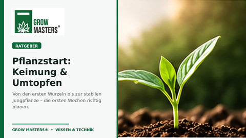 Pflanzstart im Indoor-Garten – Keimung, Umtopfen und die ersten Wochen