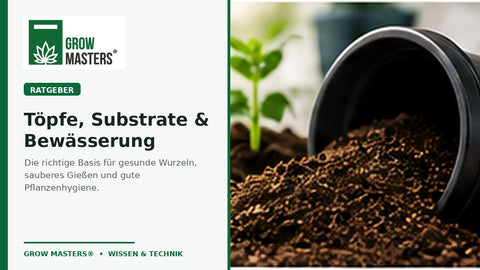 Growzelt einrichten – Töpfe, Substrate, Bewässerung und Hygiene