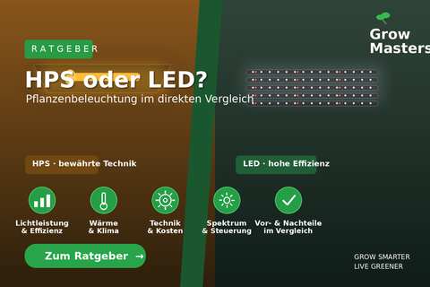 HPS oder LED? Pflanzenbeleuchtung im direkten Vergleich