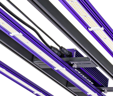 Lumatek Zeus 300W Pro 3.1 – LED-Bar Leuchte