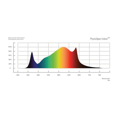 Fluence SPYDR 2x LED – Produktdetail