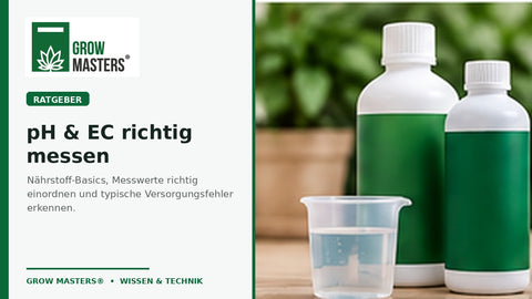 pH und EC im Indoor-Garten – Nährstoff-Basics, Messung und Fehlerdiagnose