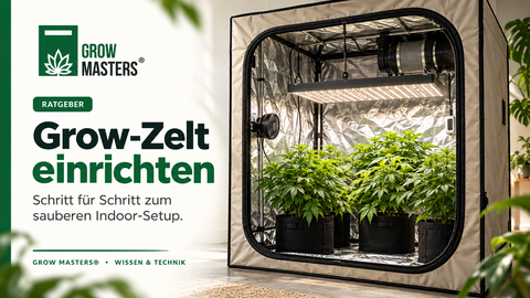 Grow-Zelt einrichten: Grow Masters Ratgeber für ein sauberes Indoor-Setup
