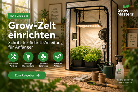 Grow-Zelt einrichten – Schritt-für-Schritt-Ratgeber für Anfänger