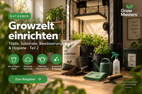 Growzelt einrichten – Töpfe, Substrate, Bewässerung und Hygiene