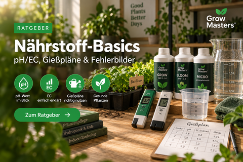 Nährstoff-Basics – pH, EC, Gießpläne und typische Fehlerbilder