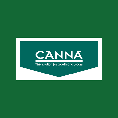 Canna