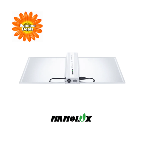 Nanolux RG 300 LED