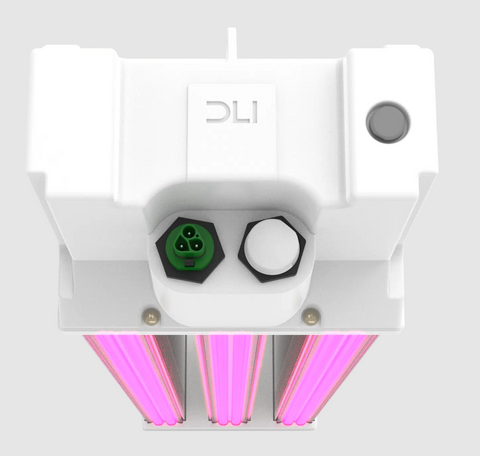 DLI ZENITH Series 900W LED Toplight – Rückansicht