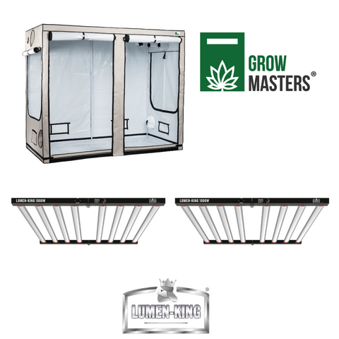 Grow Masters Set 240x120x120cm + Premium Led