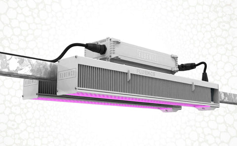 Fluence VYPR 3p BROAD R3 LED Toplight